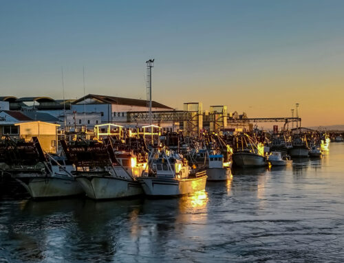 Principales pesquerías de la flota de Isla Cristina.