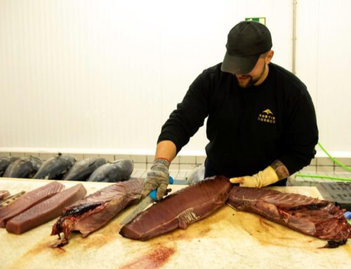 El atún y sus elaborados, como la mojama, tienen una gran importancia en la economía y la vida de Isla Cristina